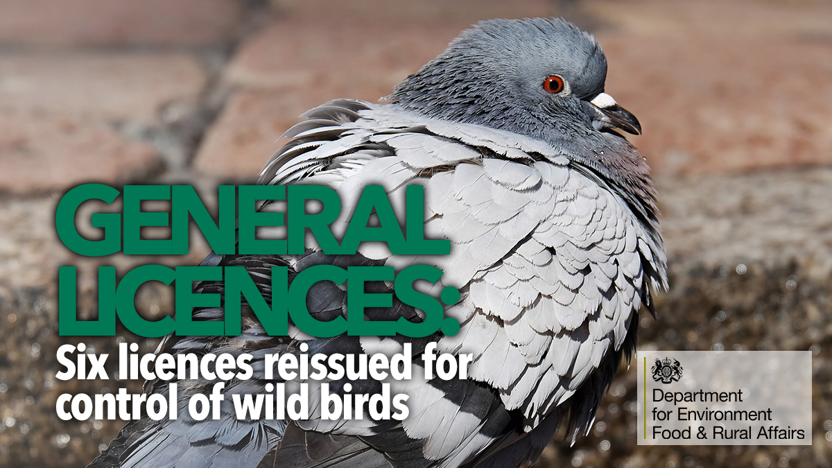 5 New temporary general licences issued by defra 5 New temporary general licences issued by defra